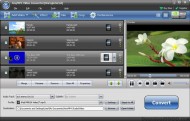 AnyMP4 Video Converter screenshot